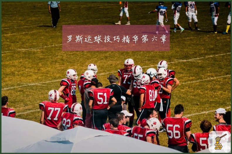 罗斯运球技巧精华第六章